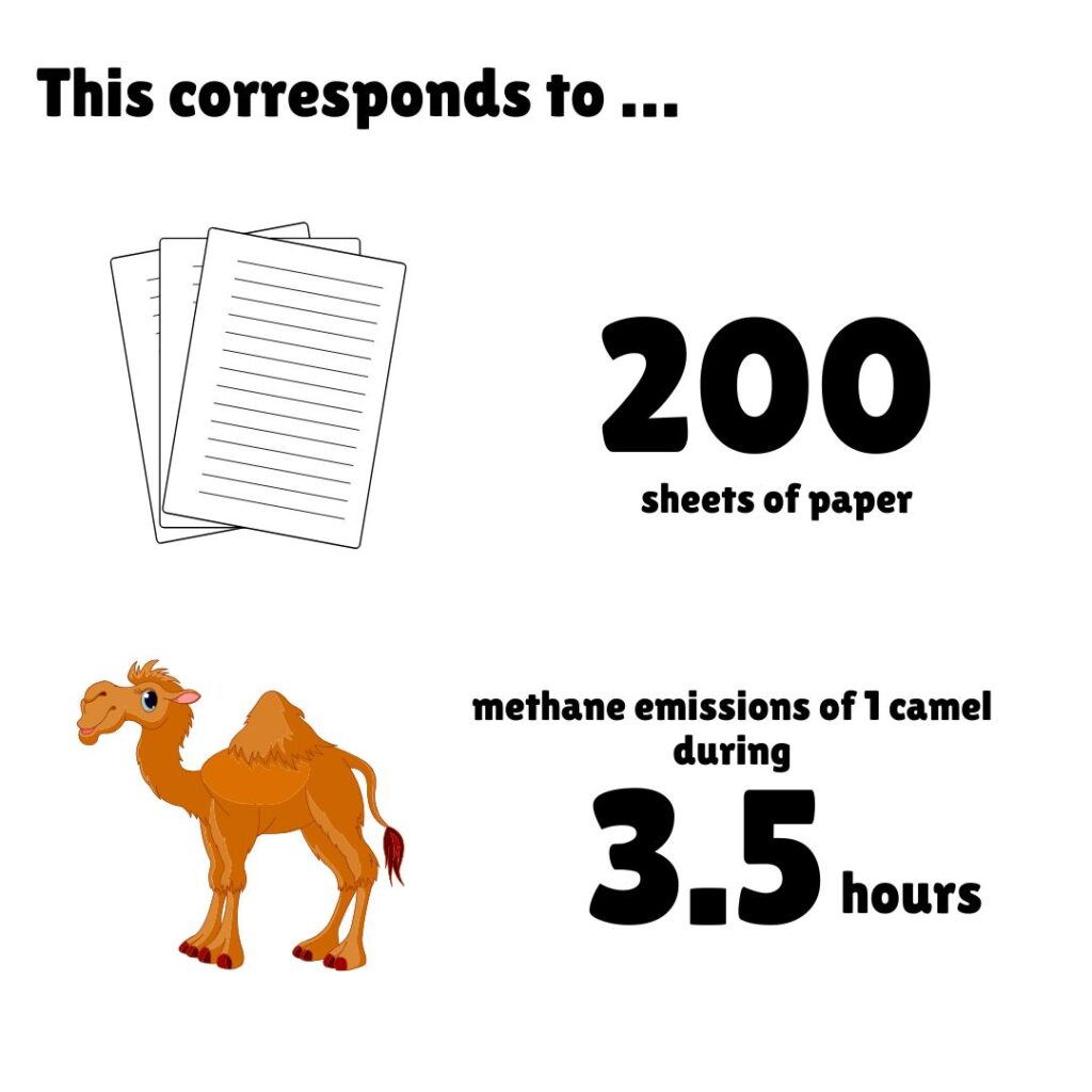 Infographic titled 'This corresponds to...' comparing the carbon footprint of one portion of Moroccan Quinoa Tagine to environmental equivalents. The image illustrates that the emissions from one serving equals the production impact of 200 sheets of paper, which is equivalent to the methane emissions produced by one camel during 3.5 hours. Simple line drawings show stacked paper on the left and a cartoon dromedary on the right, with bold numerical values highlighting the comparison.